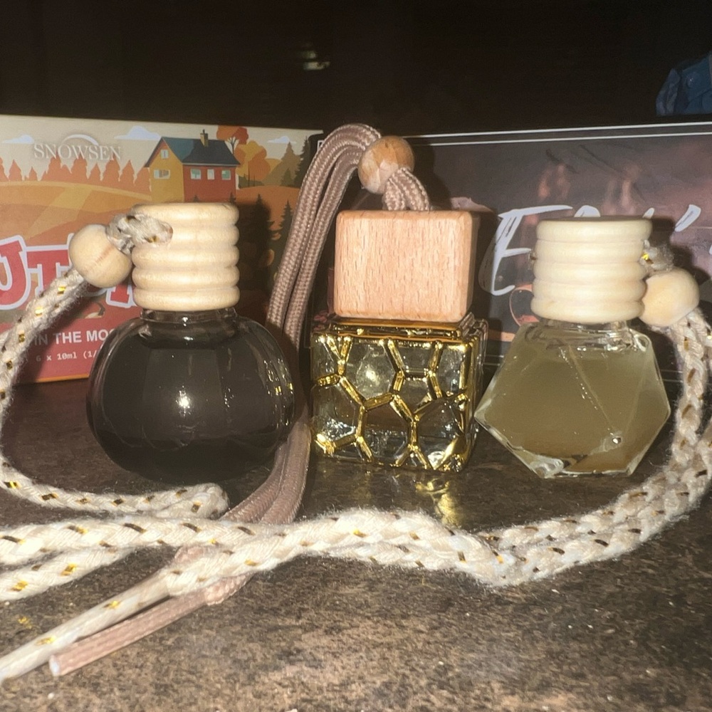 Homemade car scent diffusers. No harmful chemicals. No alcohol. Vinegar based